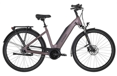 CARVER LEASINGRÜCKLÄUFER:Cityzen E.410 FL (shadow rouge/dark anthracite/black)