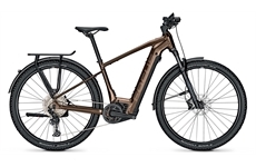 Focus Aventura2 6.8 (Goldbrown)