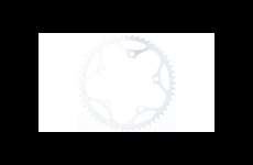 Stronglight Renn-Kettenblatt
5-Arm, für 9-/10-fach, 130mm (silber)