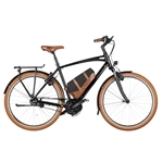 RIESE & MÜLLER Cruiser2 silent