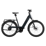 RIESE & MÜLLER Nevo4 GT vario