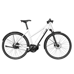 RIESE & MÜLLER Roadster4 Mixte vario