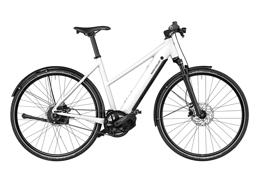 RIESE & MÜLLER Roadster4 Mixte vario