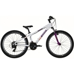 CARVER Strict 24 Girl CARVER Strict 24 Girl