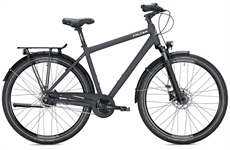 FALTER C 4.0 PLUS (cool grey)