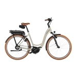 RIESE & MÜLLER Swing5 vario T