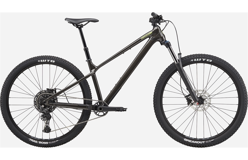 CANNONDALE Habit HT 2