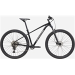 CANNONDALE Trail 2
