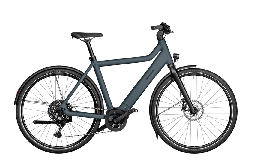 RIESE & MÜLLER Culture vario