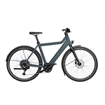 RIESE & MÜLLER Culture vario