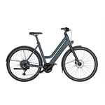 RIESE & MÜLLER Culture Mixte vario