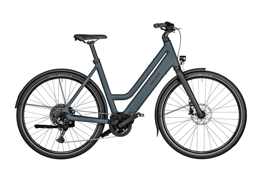 RIESE & MÜLLER Culture Mixte vario