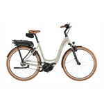 RIESE & MÜLLER Swing5 rücktritt