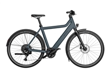 RIESE & MÜLLER Culture vario