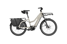 RIESE & MÜLLER Multicharger3 Mixte automatic