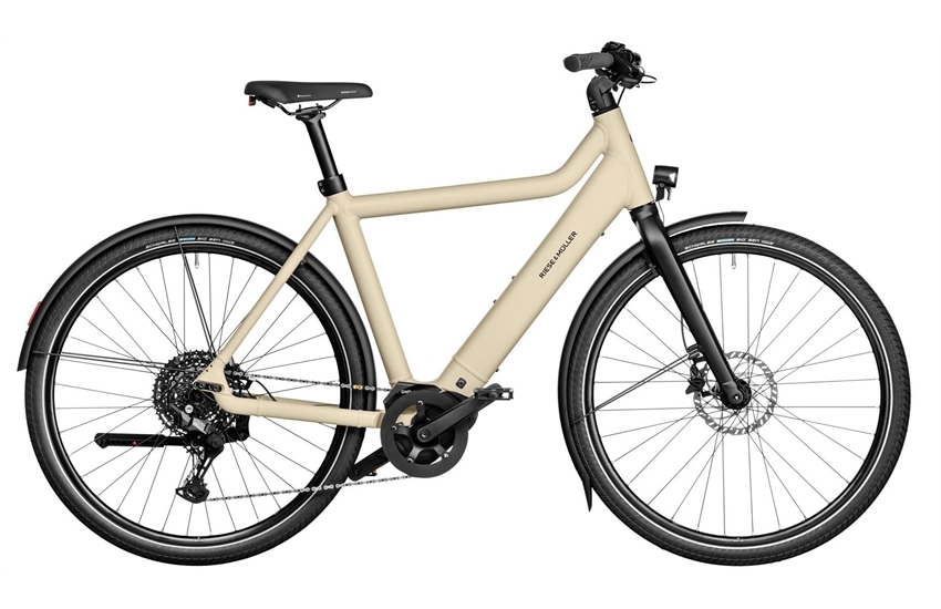 RIESE & MÜLLER Culture Touring