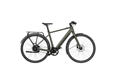 RIESE &  MÜLLER UBN Five vario (selva)