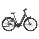 Gazelle Arroyo C5 Elite