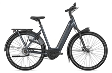 Gazelle Arroyo C5 Elite