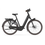 Gazelle Arroyo C8 + Elite Gazelle Arroyo C8 + Elite