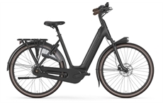 Gazelle Arroyo C8 + Elite