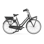 Gazelle Miss Grace C7+