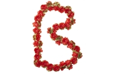 BASIL Blumengirlande (rot)