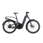 RIESE & MÜLLER Homage5 GT vario T