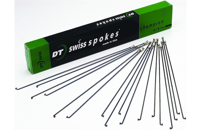 DT Swiss Speichen Champion M 2x300mm