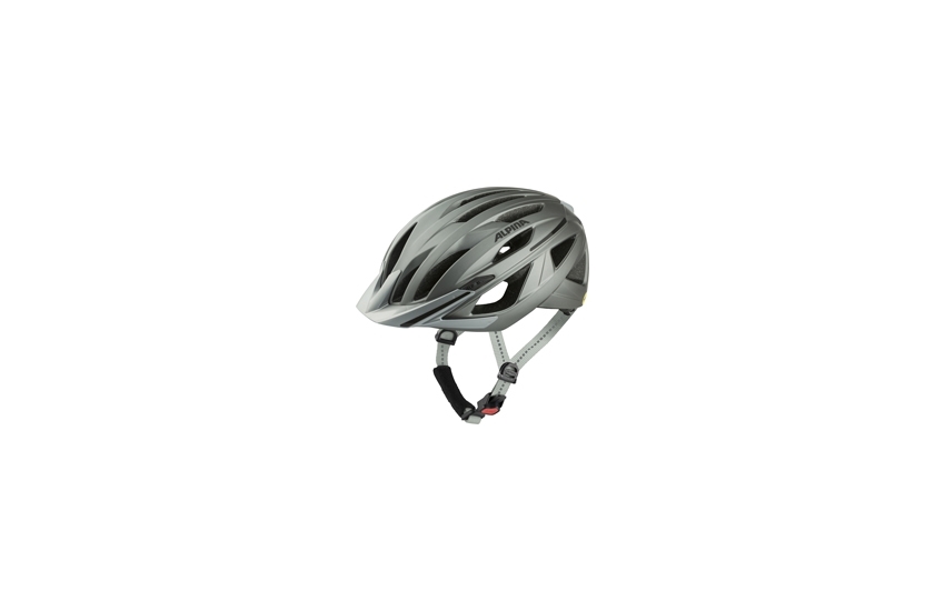 ALPINA Gent Mips dark-silver matt 51-56